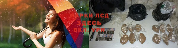 spice Балабаново