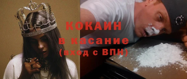 сатива Арсеньев