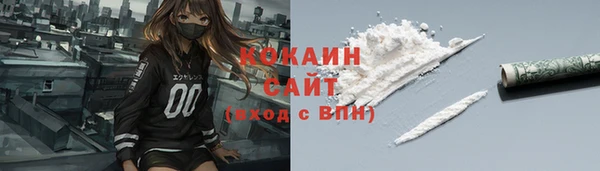 ГАЛЛЮЦИНОГЕННЫЕ ГРИБЫ Аркадак