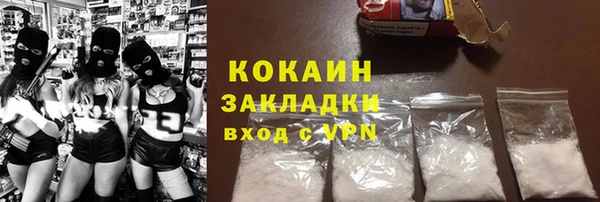 ГАЛЛЮЦИНОГЕННЫЕ ГРИБЫ Аркадак