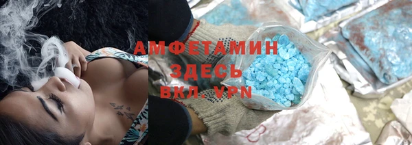 ГАЛЛЮЦИНОГЕННЫЕ ГРИБЫ Аркадак