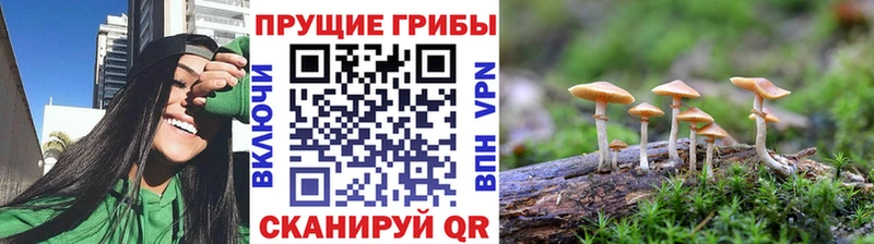 Галлюциногенные грибы ЛСД  купить  сайты  Вытегра 