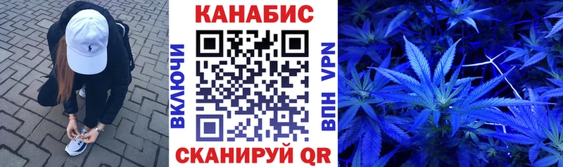 Шишки марихуана Amnesia  Вытегра 